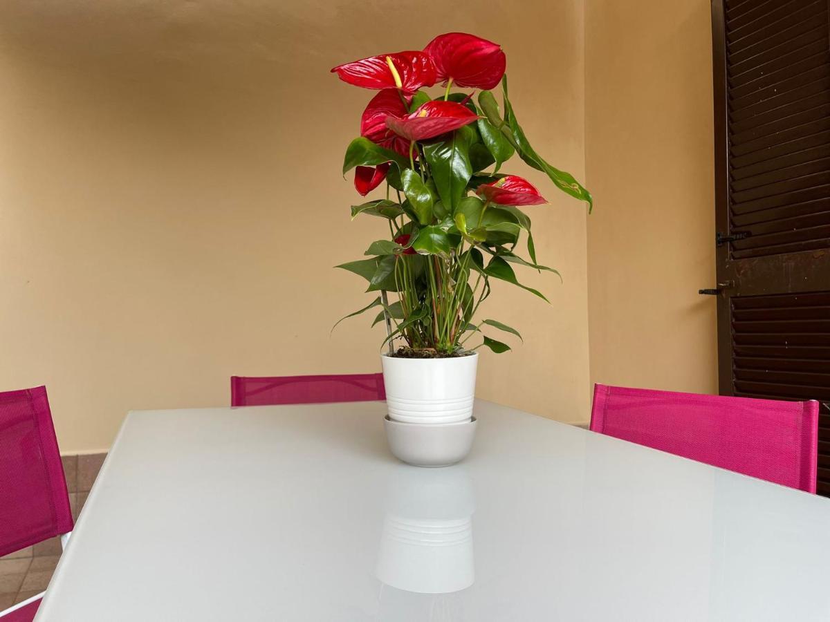 Flowers In Rome Exterior photo